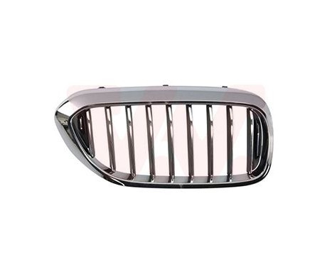 Radiator grille