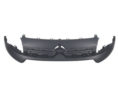 Radiator Grille
