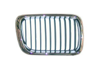 Radiator grille