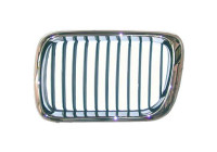 Radiator grille