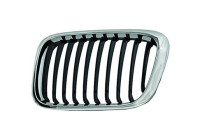 Radiator grille