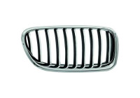 Radiator grille