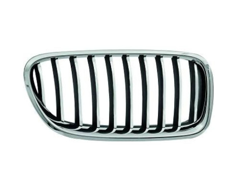 Radiator grille