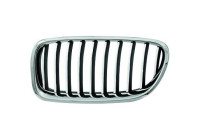 Radiator grille