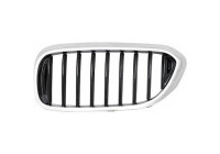 Radiator grille