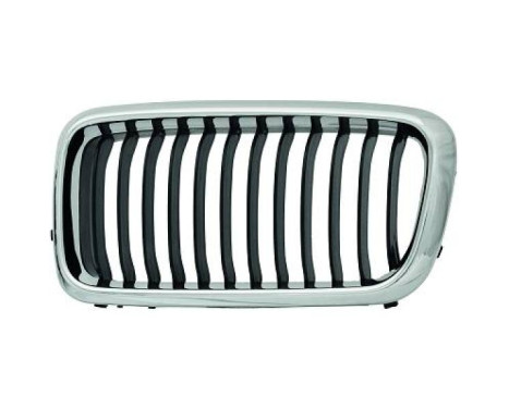 Radiator grille