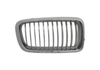 Radiator grille