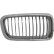 Radiator grille