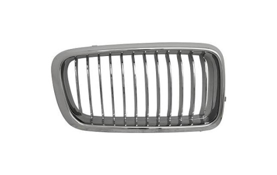 Radiator grille