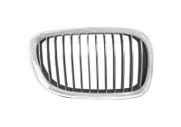 Radiator grille
