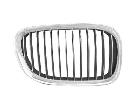 Radiator grille
