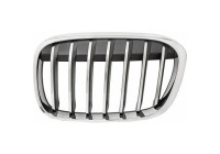 Radiator grille