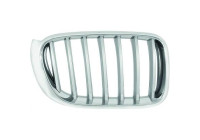Radiator grille