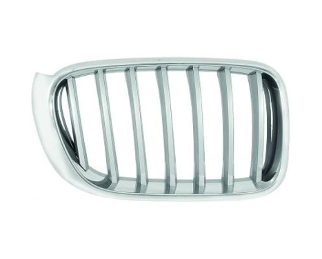 Radiator grille