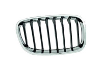 Radiator grille