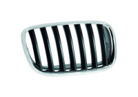 Radiator grille