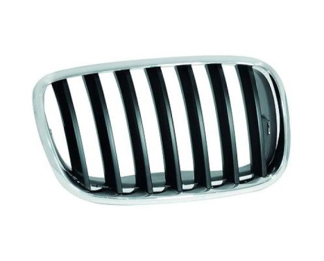 Radiator grille
