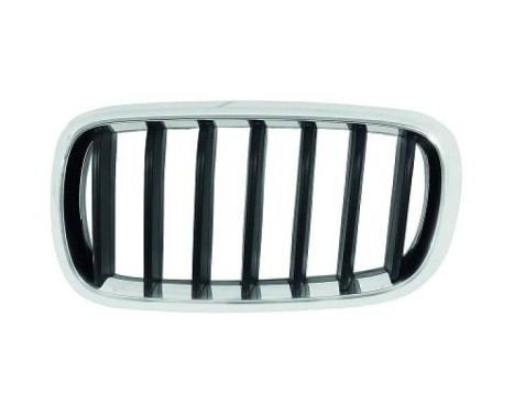Radiator grille