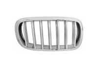 Radiator grille