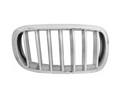 Radiator grille