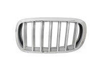 Radiator grille