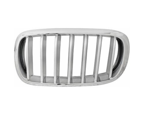 Radiator grille