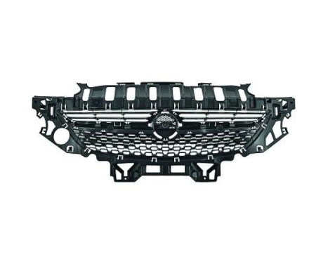 Radiator grille