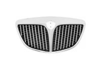 Radiator grille
