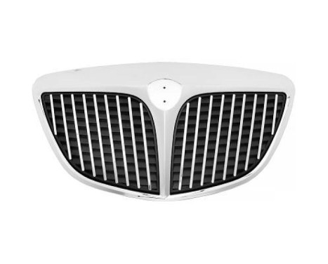 Radiator grille