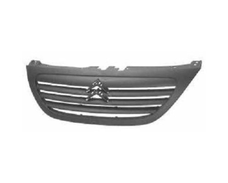 Radiator grille