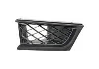 Radiator grille