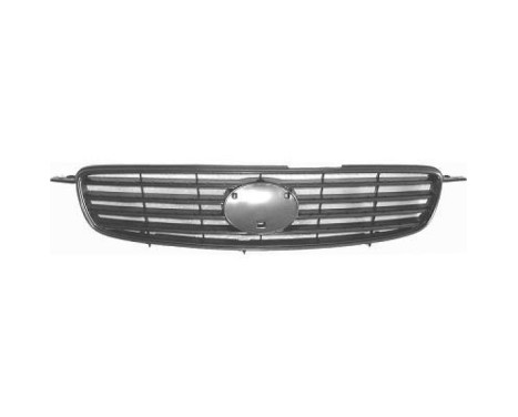 Radiator grille
