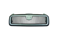 Radiator grille