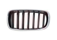 Radiator Grille