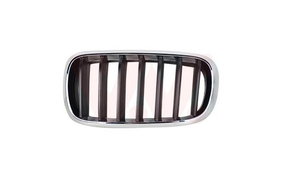 Radiator Grille