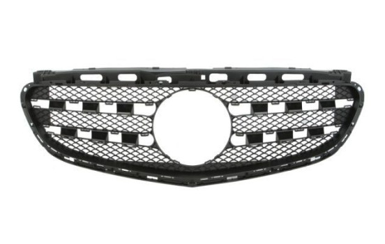 Radiator grille