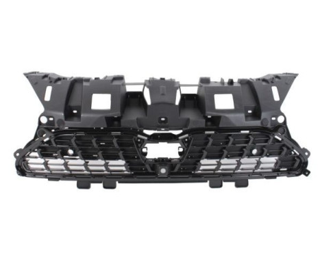 Radiator grille