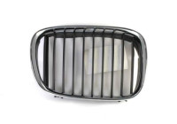 Radiator grille