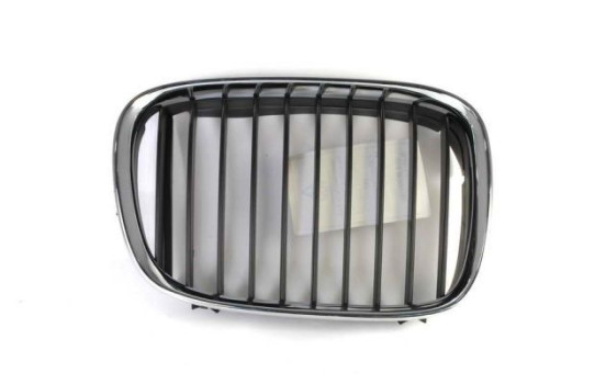 Radiator grille