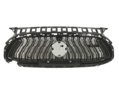 Radiator grille