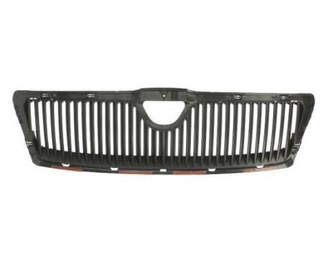 Radiator grille
