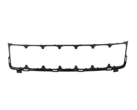 Radiator grille