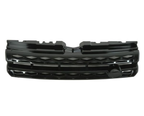 Radiator grille