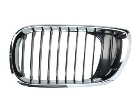 Radiator grille