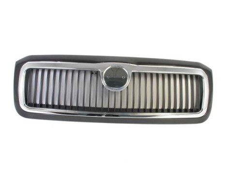 Radiator grille