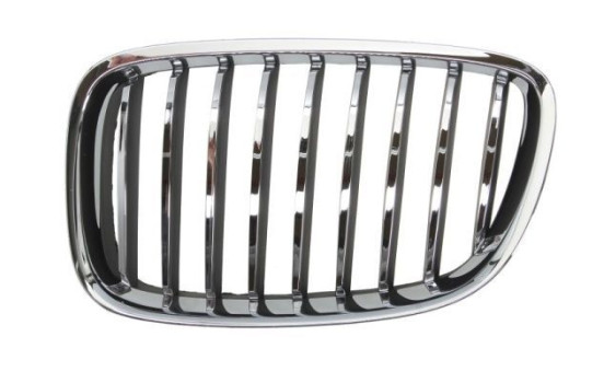 Radiator grille
