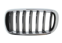 Radiator grille