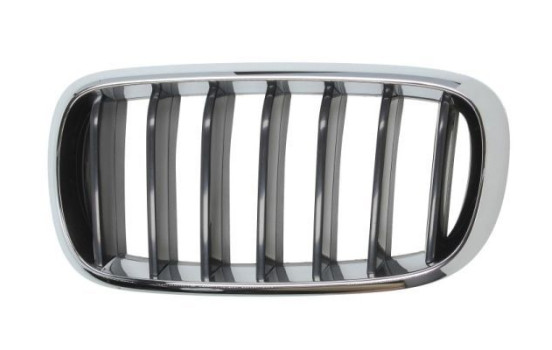 Radiator grille