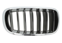 Radiator grille