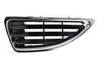 Radiator grille